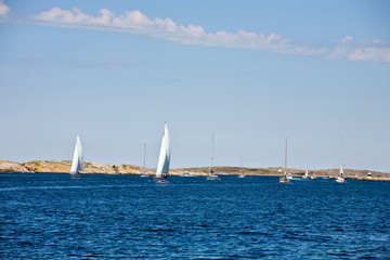 Sailboats