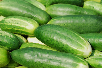 Cucumbers