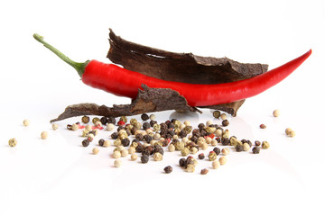 Chili mit Pfeffer9