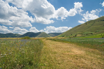 Obraz premium Castelluccio di Norcia - Valnerina - Umbria