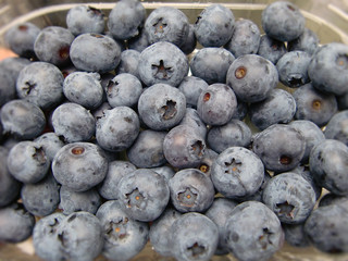 fresh blueberries