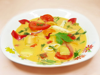 vegetable soup with tomato