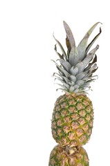 Obraz premium Pineapple