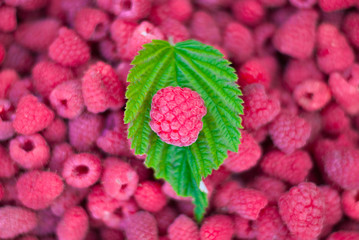 raspberry boke