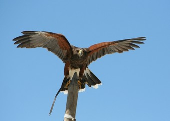 Abflug