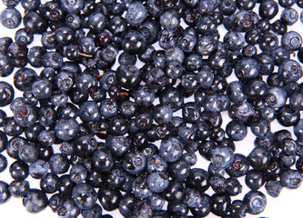 e berry background