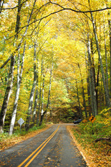 Obraz premium Autumn Tunnel