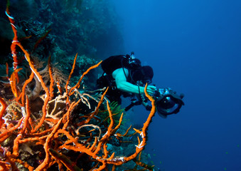 Underwater photographer