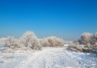 Fototapeta na wymiar wild winter scenery