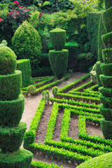 Decorative green park – Botanical garden Funchal, Madeira.