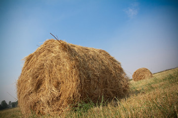 Hay bales