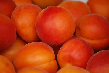 sweet apricots