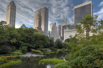 Central Park in the early morning at the pond