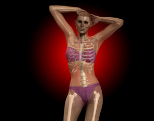 X Ray Women