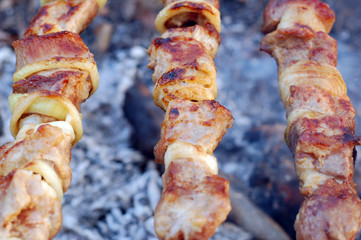 shish kebab on skewers and hot coals