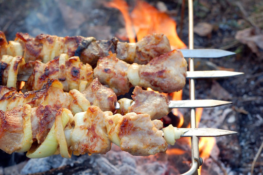 shish kebab on skewers and hot coals