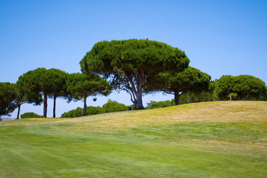 Beautiful golf course against a clear blue sky
