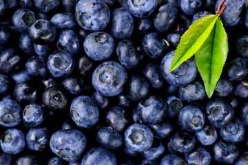 Blaubeeren