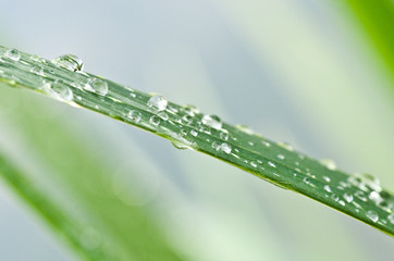 gouttes de pluie
