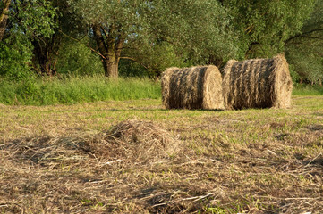 Sianokosy © Grzegorz Polak