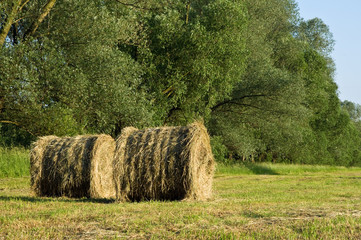 Sianokosy © Grzegorz Polak