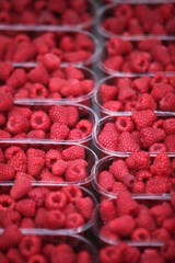 Himbeeren