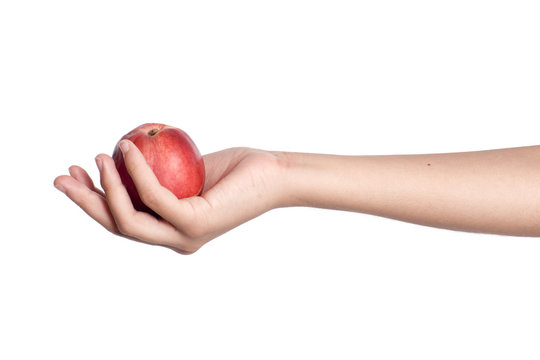 main qui pr&eacute;sente une nectarine