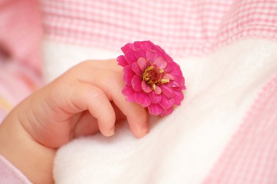 baby hand with flower