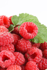 fresh raspberries