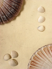 holidays memory paper © piotr_roae