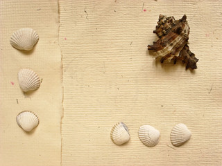 holidays memory paper © piotr_roae