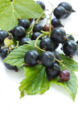 Black Currants