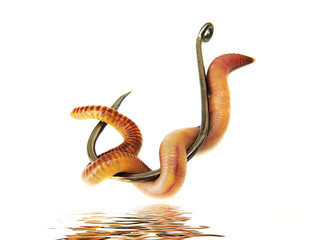 fishing hook