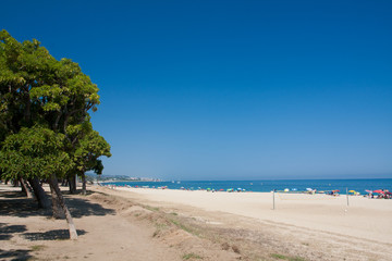 Beach under clear blue sky