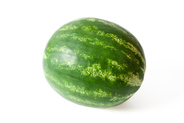 the watermelon