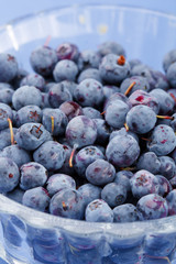 blueberries in the dish