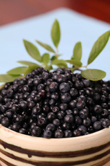 Wild blueberries
