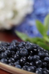 Wild blueberries