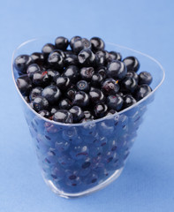 blueberries in the dish