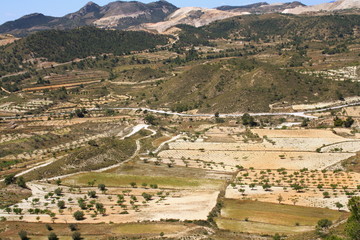 Agricultura en murcia