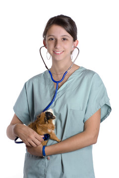 &eacute;l&egrave;ve v&eacute;t&eacute;rinaire