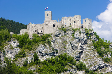 Fototapeta na wymiar Ruiny zamku Strecno Słowacji