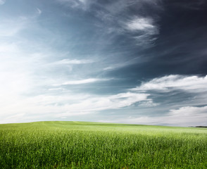 Obraz premium Field