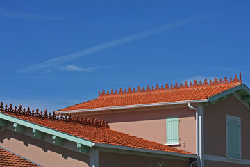 Fototapeta na wymiar faitage de toit décoré