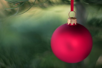 Blur red glass ball and Christmas evergreen tree