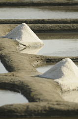 Sel de Guérande marais salants