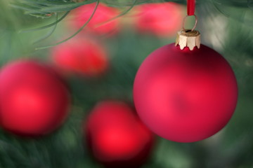 Blur red glass ball and Christmas evergreen tree
