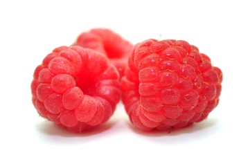 Frische Himbeeren