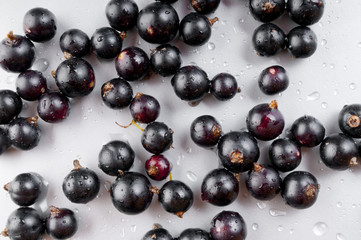 Fresh black currant