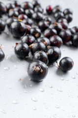 Fresh black currant